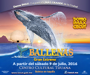 Ballenas en CECUT